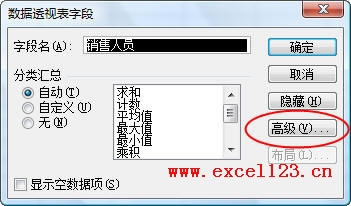 Excel2003����͸�ӱ��ֶζԻ���