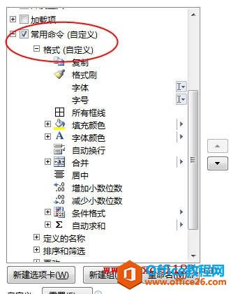 �Զ���ѡ�