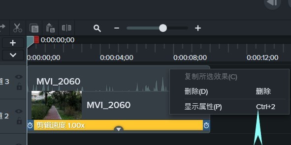 Camtasia Studio 2019 ���İ�ļ����ٶ���ϸ˵��