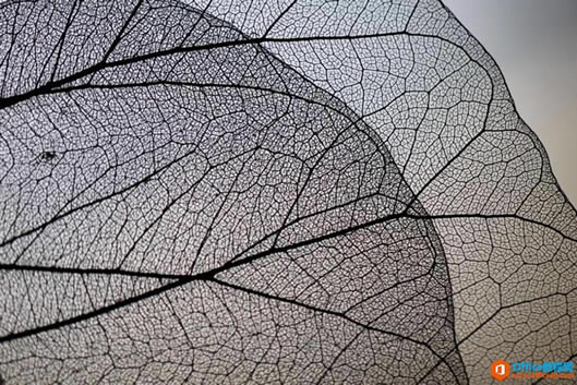 excel ���뱳��ͼƬ������ı�����С��