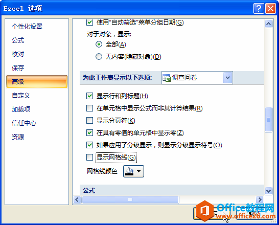 excel�еĸ߼�ѡ��