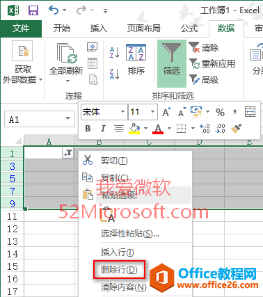 �������excel 2013����ɸѡ���ɴ�ֲ�ɾ������