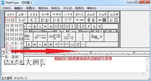 MathType������
