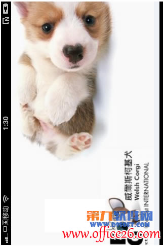 Iphone��OneNote����