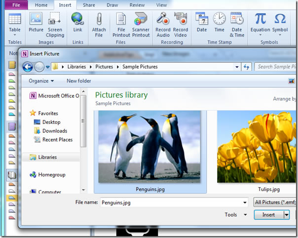 ��θ�onenote2010�ʼǲ��뱳��_��վ