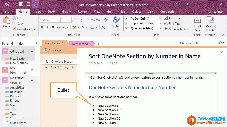 OneNote �ʼǵ���Ŀ����
