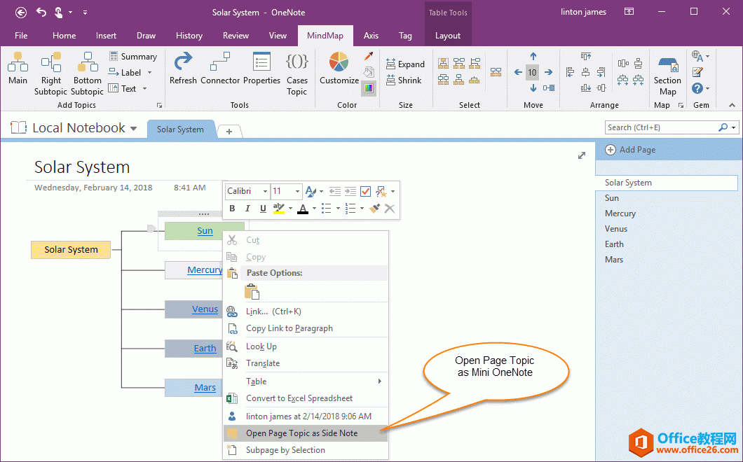 �ñ��� OneNote ҳ������