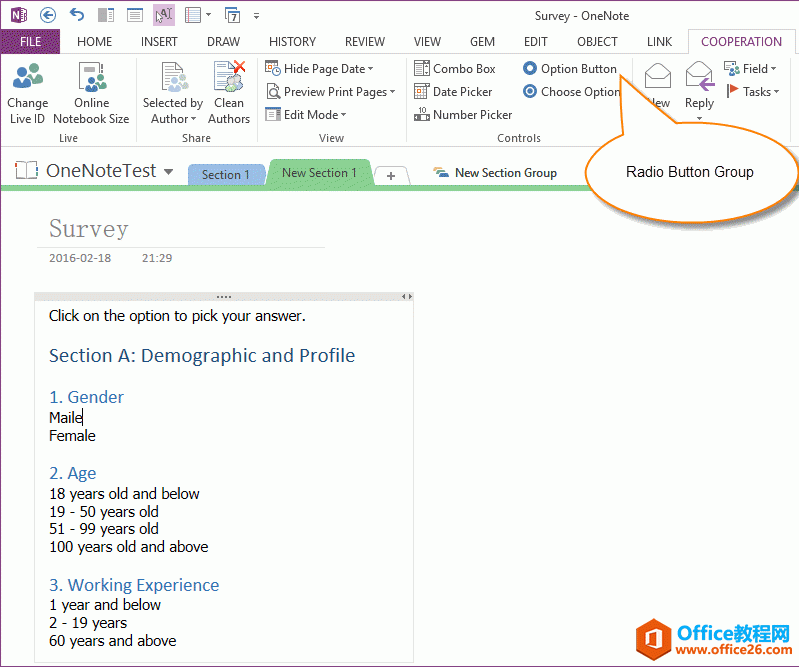 OneNote ��ѡ�ť��ѡ�е�ѡ���