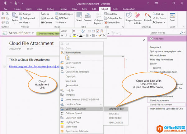�� OneNote 2016, 2013, 2010 ����Ƹ��� 