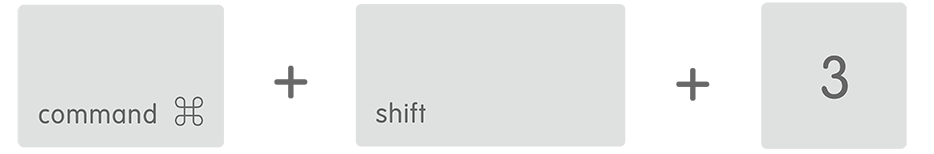 OneNote ��ν���