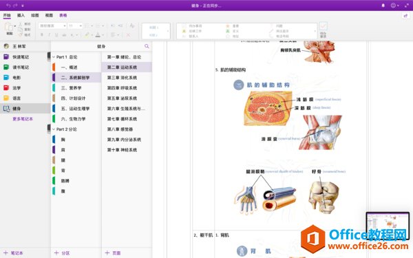 OneNote �ҵıʼǹ���ϵͳ�Ϳ�������_��վ