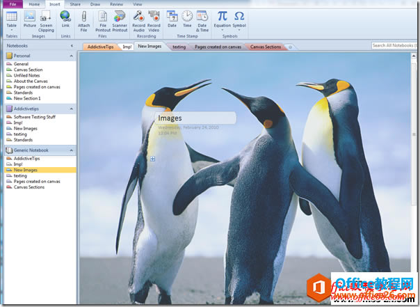 ��onenote2010�ʼǲ��뱳�������̳�4