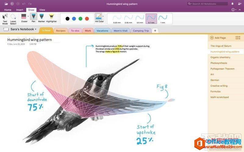 OneNote ���빤�������