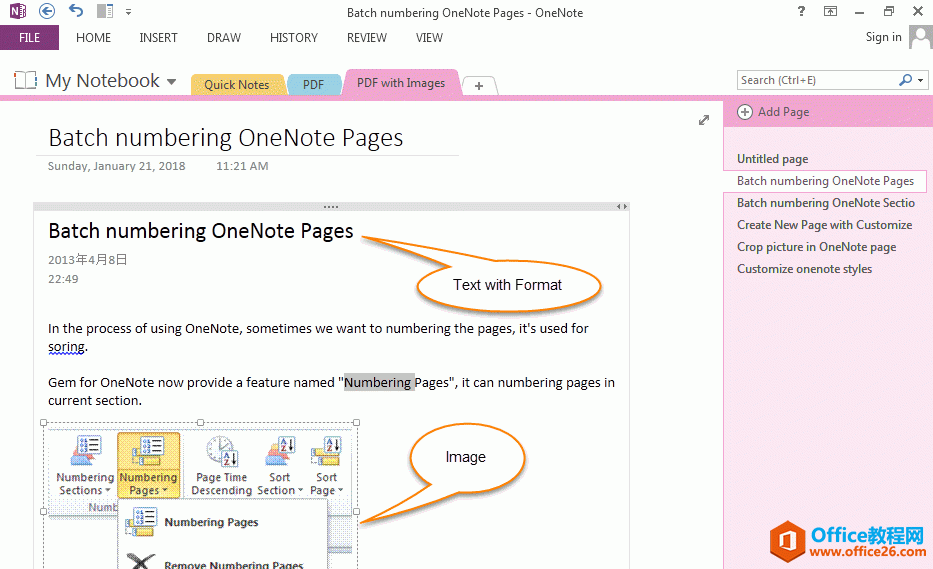 PDF �� OneNote ���Ը�ʽ���ı���ͼƬ��ʾ