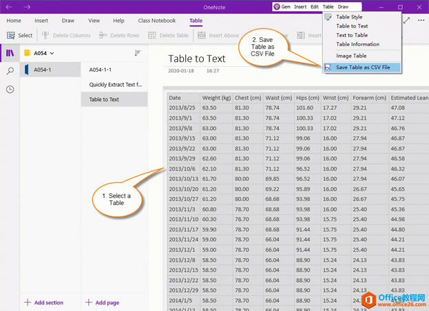 ���ת�� OneNote �ı���Ϊ csv ��Ȼ����Excel��