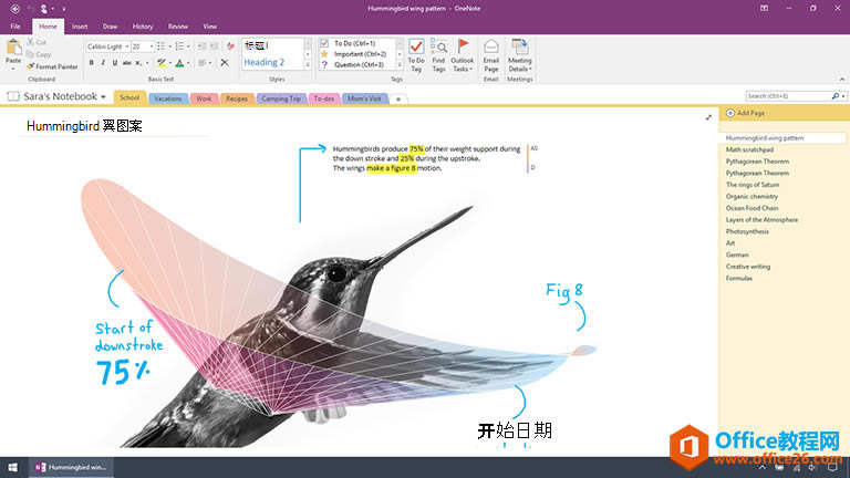 OneNote �� OneNote 2016 ��ɶ����