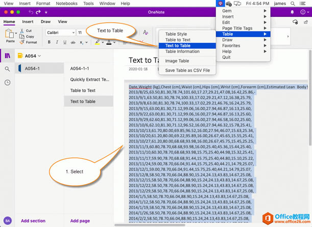����� OneNote ��ת��һ����ʽ���ı�Ϊ����