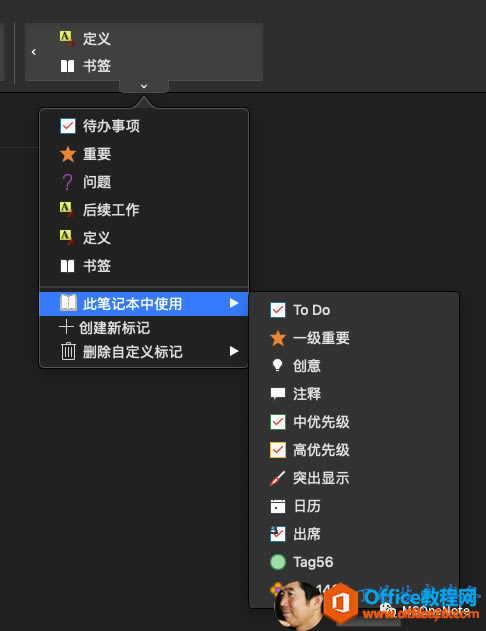 OneNote ��ǩ����ʹ�ü��ɼ�ʵ���̳�
