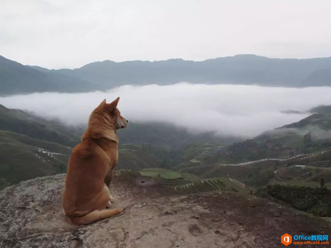 �������������ƱʼǼ����Ʒ����