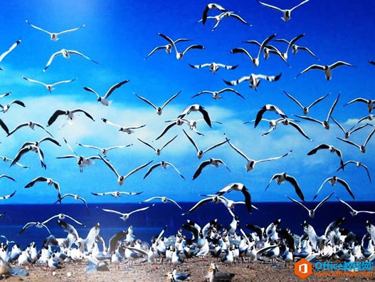 Outlook ��ϵ�˹���ʹ�û���ͼ�Ľ̳�