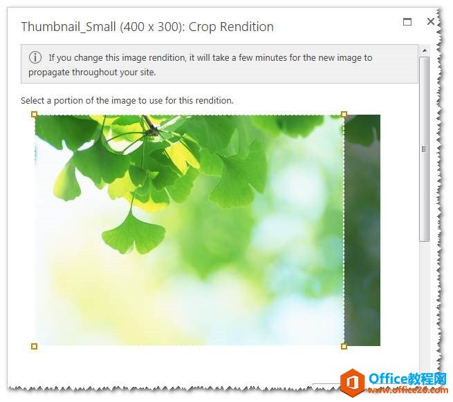 SharePoint ͼ�������ʽ����
