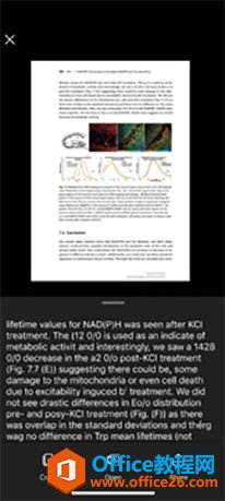 iOS��Office������湫������������PDF���������¼���