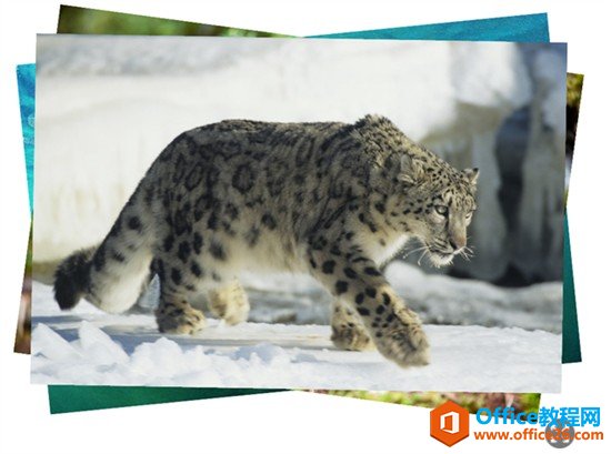 Office Sway Ӧ����ʲô����ʲô���ܣ�