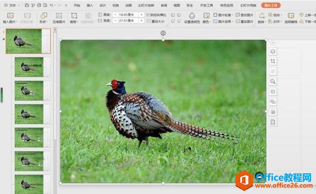 ����޸�PPT��ĸ�汳��ͼƬ