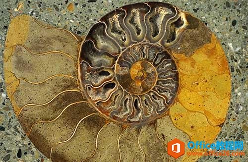 ����Щ��ѧ����Ϊ���PPT��Ƴ���