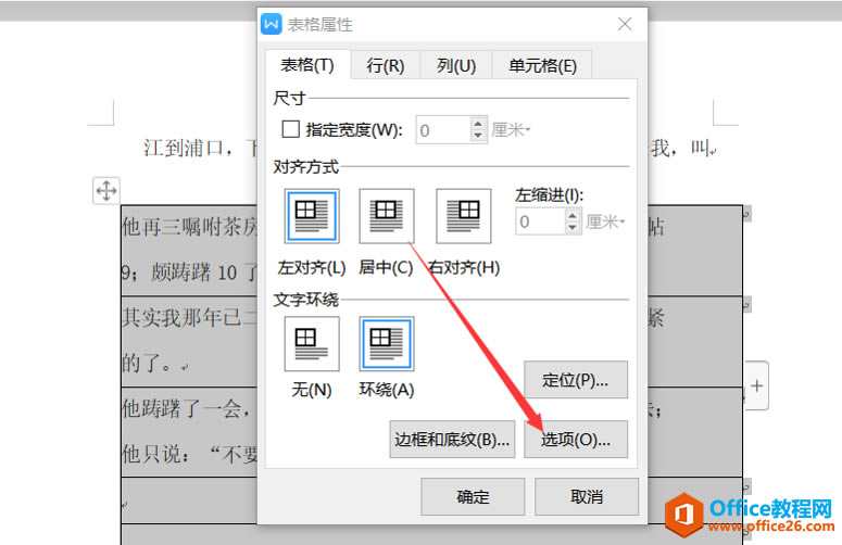 WPS Word�����Զ������������