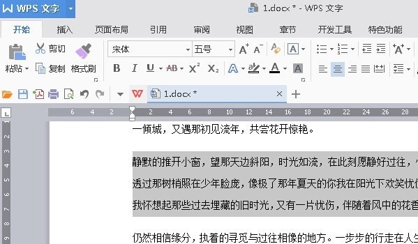 wps��������������_��վ