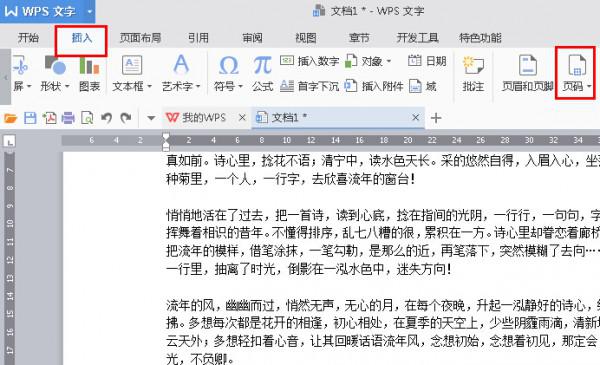 WPS2016�������ҳ�룿