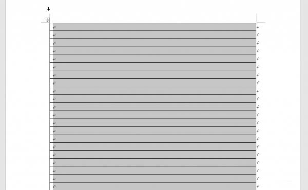 wps����������