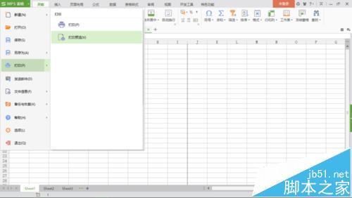 ���Ϊwps�����������ӡ��Ԥ�����������������й��ʵ���_��վ