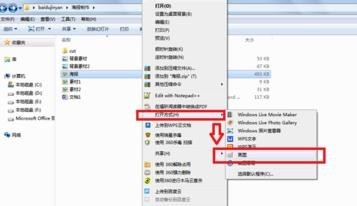wps���������������
