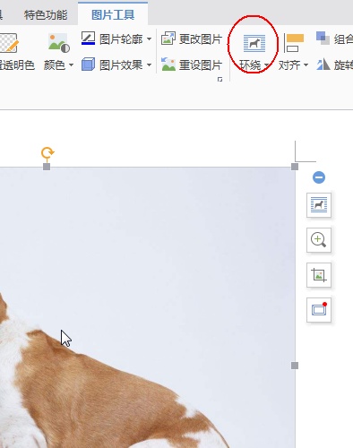 wps����ò����ͼƬ���������ƶ�