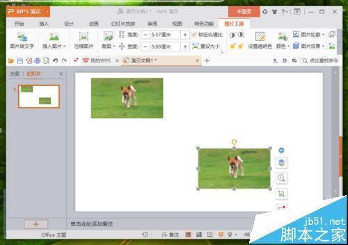 WPS�е�ͼƬ��θı���״?