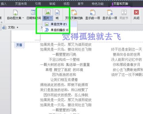 ����Ű�wps�ַ�