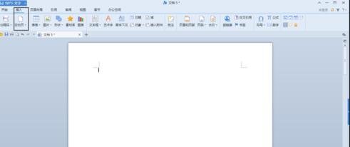 �����WPS�ı������ӿհ�ҳ