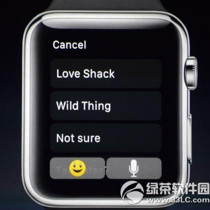 apple watchӦ������Щ ƻ��watch app����