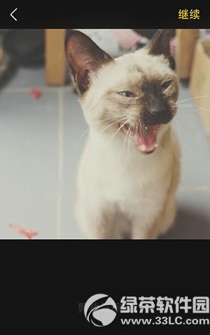 fork�������app��ô�� fork�������appʹ��ͼ�Ľ̳�