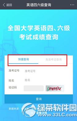 ֧������ô��Ӣ���������ɼ� ֧������ѯӢ���������ɼ�����