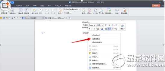 wordӢ����ĸ���沨����ȥ������