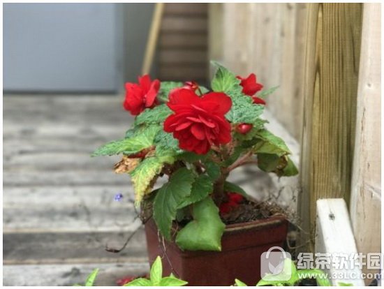 iphone7plus����ҫ8�ĸ��� ��Ϊ��ҫ8��iphone7plus�Ա�4