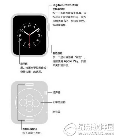 apple watch���ɽ��ܣ�ƻ���Զ�ѡ���ֱ�apple watch����