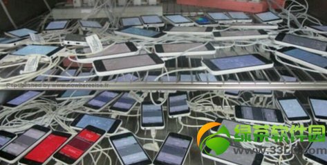 iPhone 5C������֤(QA)��������������9��10�չ���