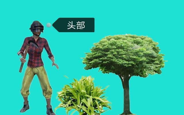 �̼�ս����ǹ�������˺��� �̼�ս���������˳̶ȱȽ�