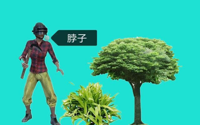 �̼�ս����ǹ�������˺��� �̼�ս���������˳̶ȱȽ�