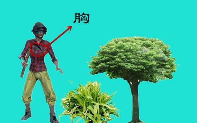 �̼�ս����ǹ�������˺��� �̼�ս���������˳̶ȱȽ�