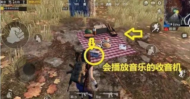 刺激战场海岛地图枫树林在哪 刺激战场枫树林有什么